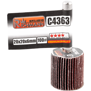 CC Ściernica listkowa trzpieniowa P80 40x20x6mm