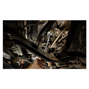 MO Grzechotka z ruchomą głowicą długa 1/2'